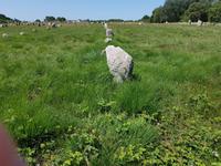 Carnac, Le Menec
