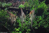 Porto & Lissabon (262)