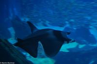 Porto & Lissabon (270)