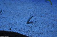 Porto & Lissabon (275)