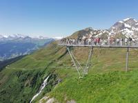 Auf dem First