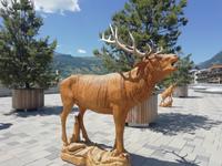 In Grindelwald