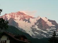 Blick zur Jungfrau am Abend