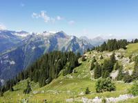 Fahrt auf Schynige Platte