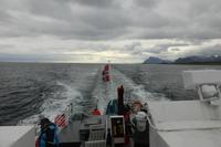 063-Lofoten_Seeadlersafari