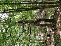 Südliches Masuren (4)