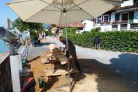 Bildhauerwettbewerb in Brienz