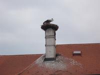 DSCN4114  Storchendorf Rust