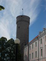 DSCN3972   lange Hermann