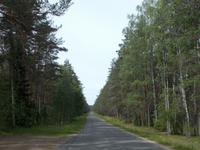 DSCN3987  in der Wildnis ausgesetzt