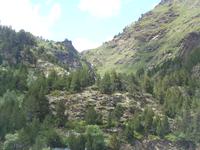 Arcalis