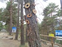 Estány d'Engolasters - Kunstausstellung