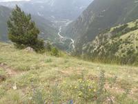 Roc del Quer