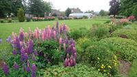Blick in unseren Hotelpark in Nethybridge