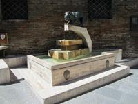 Siena