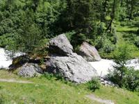 Mit Pferdekutschen ins Val Roseg