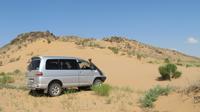Wüstenralley