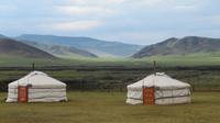 Jurtencamp