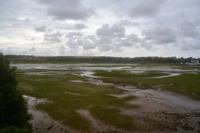 an Salzmarschen vorbei