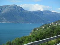 Obstanbau am Sörfjord