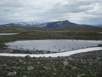 Auf dem Aurlandsfjell