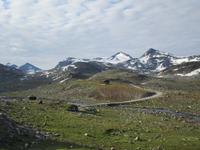 Morgens bei der Leirvasbu