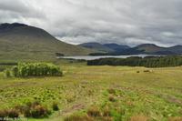 Rundreise Schottland-7