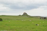 Rundreise Schottland-152