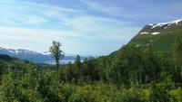 174 Hinunter zum Ofotfjord