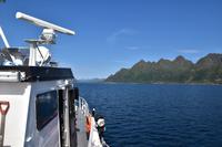 204 Lofoten, Adlersafari