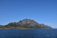 206 Lofoten, Adlersafari