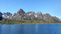 223 Lofoten, Adlersafari