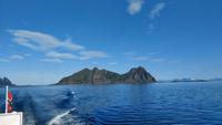299 Lofoten, Adlersafari, Ofoten