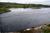 390 Saltstraumen