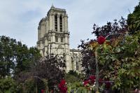 Paris Tag 1 Notre Dame