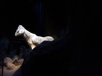 Harry Potter Studios