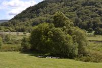 Wanderung in Glendalough