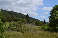 Wanderung in Glendalough