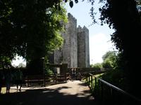  Bunratty- Castle...
