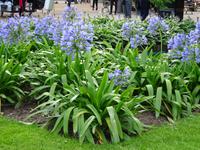 Helsinki: An der Esplanade