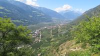 Blick ins Vinschgau
