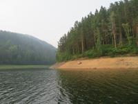 Taiga am Jenissei