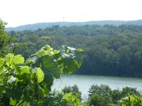 Naturpark Stromberg