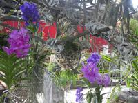 Bundesgartenschau Heilbronn