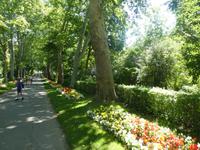 Blühendes Barock in Ludwigsburg