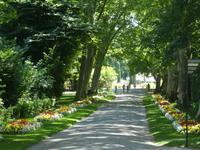 Blühendes Barock in Ludwigsburg