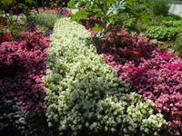 Blühendes Barock in Ludwigsburg