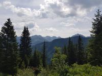 Blick vom Hohen Ifen