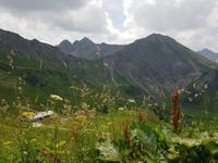 Blick von der Kanzelwand