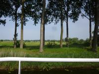 Lamme Goedzak